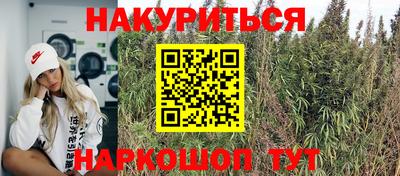 хмурый Гай